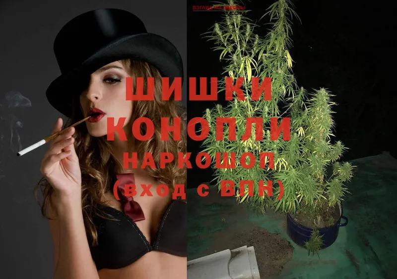 где можно купить наркотик  Жиздра  Канабис White Widow 